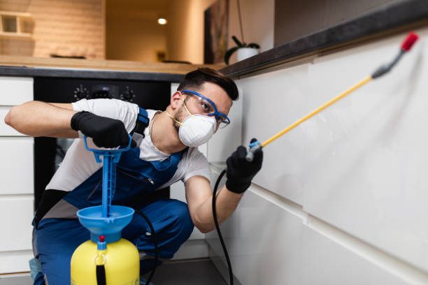 Trusted Lopezville, TX Pest Control Experts