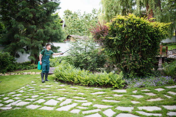 Wasp Removal Services in Lopezville, TX