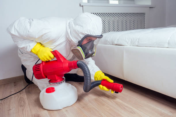 Best Wasp Removal Services  in Lopezville, TX