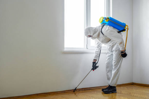 Best Emergency Pest Control  in Lopezville, TX