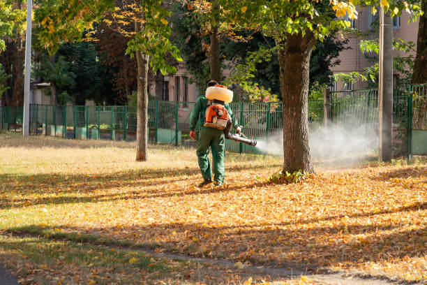 Best Commercial Pest Control Services  in Lopezville, TX