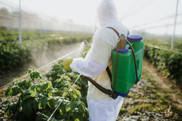 Best Best Pest Control Companies  in Lopezville, TX